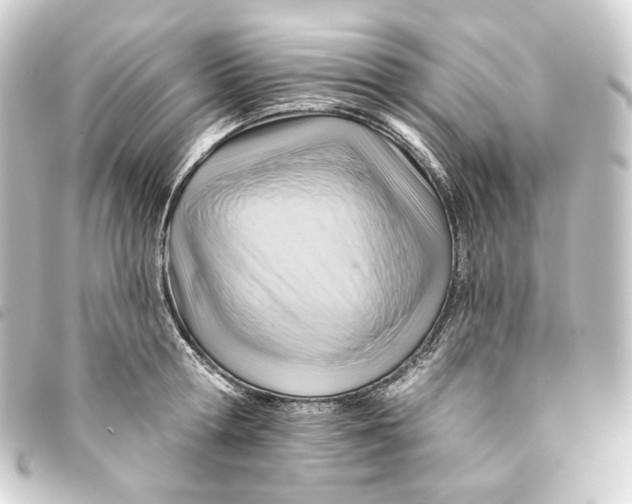 X0000093220802200710241215