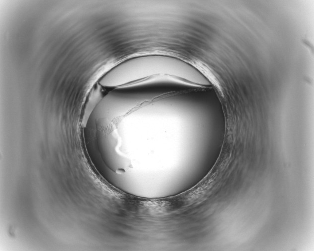 X0000093220805200710241215