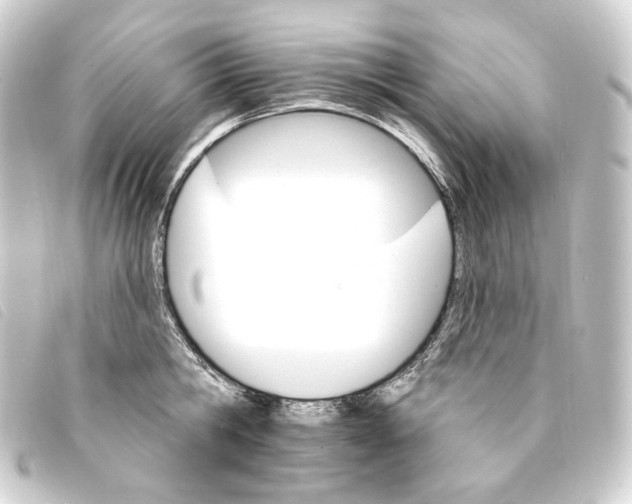 X0000093220806200710241215