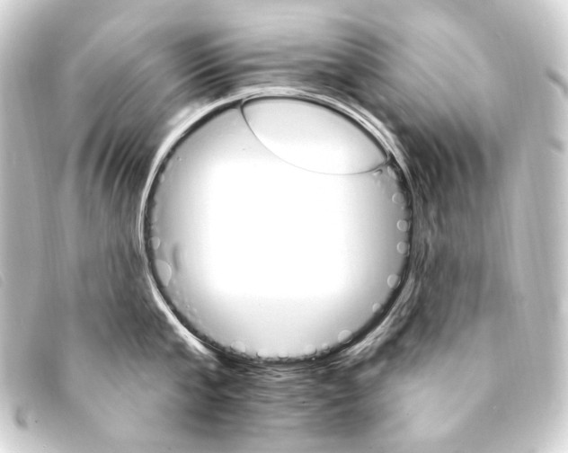 X0000093220807200710241215