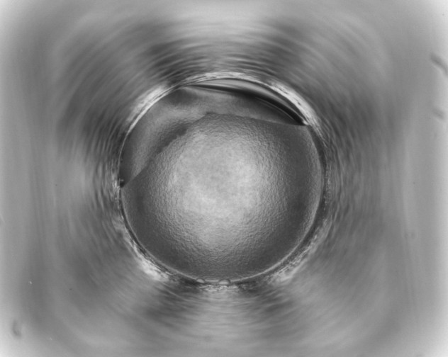 X0000093220809200710241215