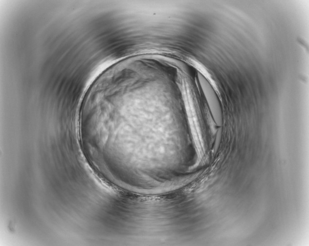 X0000093220811200710241215