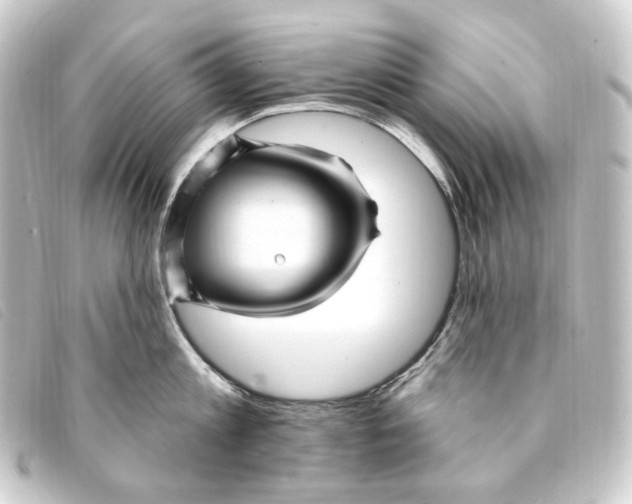 X0000093220813200710241215