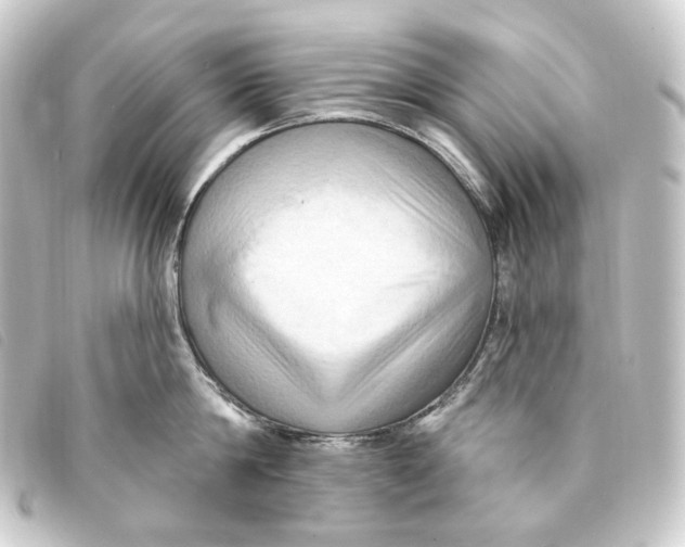 X0000093220814200710241215