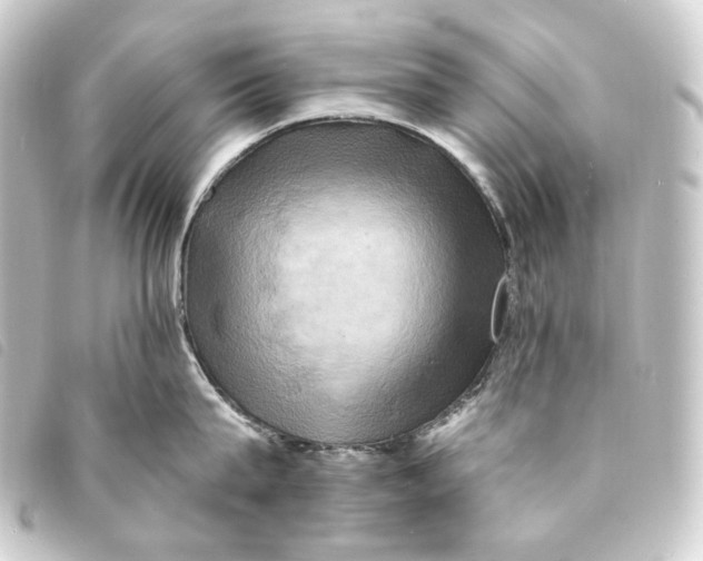 X0000093220815200710241215