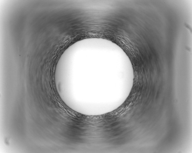 X0000093220817200710241215