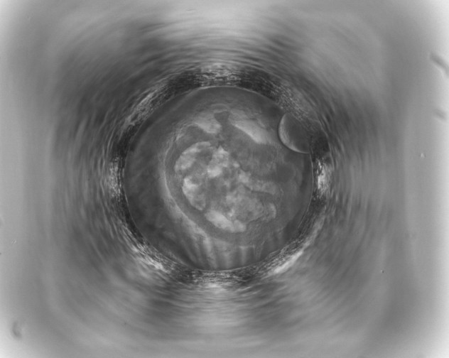 X0000093220819200710241215