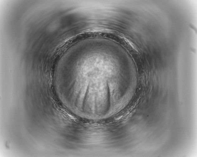 X0000093220821200710241215