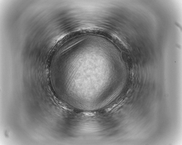 X0000093220822200710241215