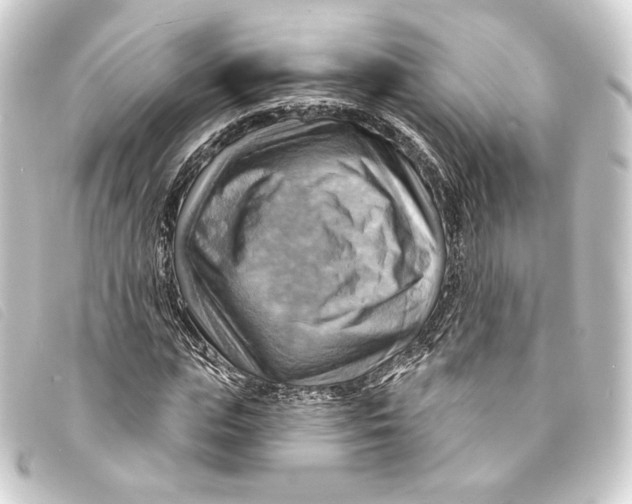 X0000093220823200710241215