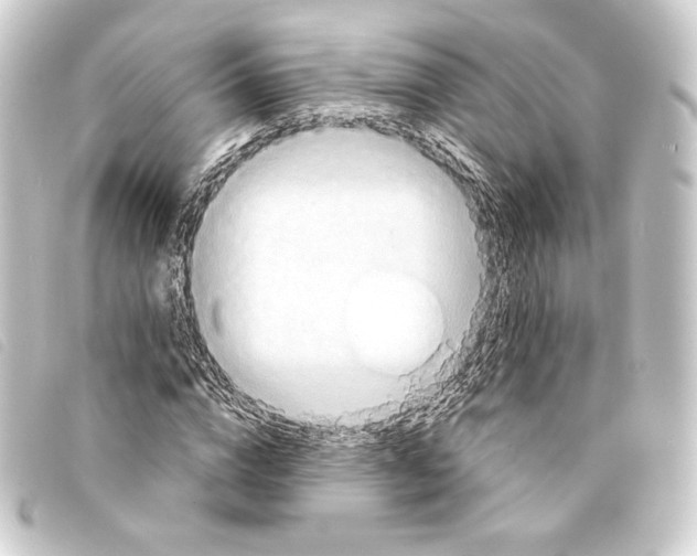 X0000093220824200710241215