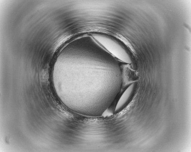 X0000093220826200710241215