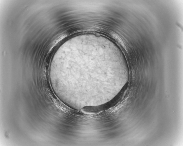 X0000093220827200710241215