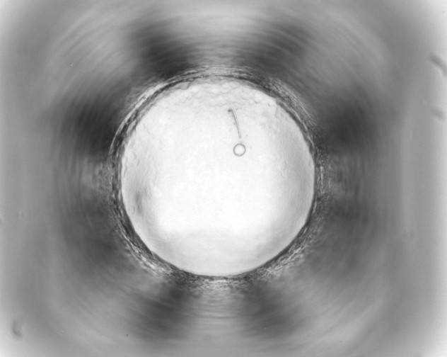 X0000093220828200710241215