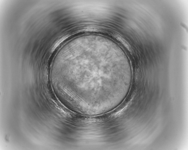 X0000093220829200710241215