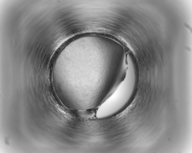 X0000093220830200710241215