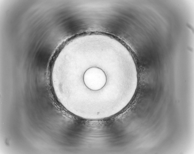 X0000093220832200710241215