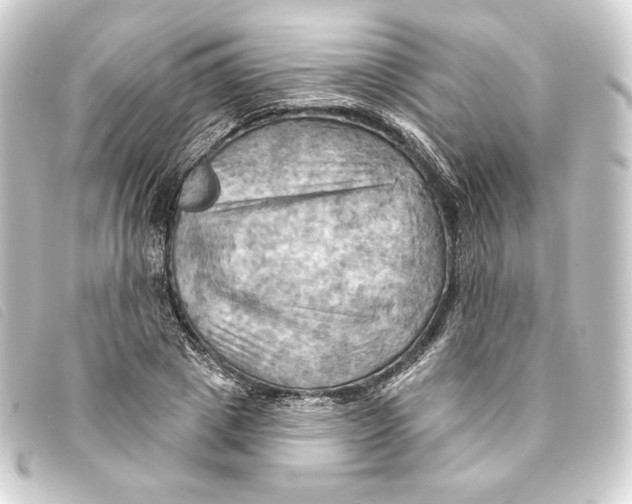 X0000093220833200710241215