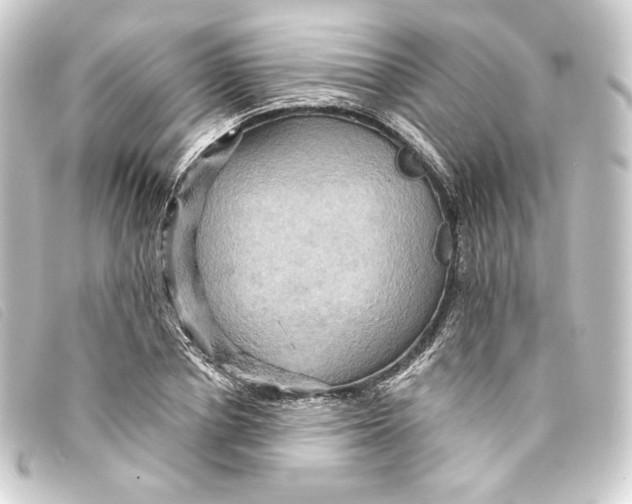 X0000093220834200710241215