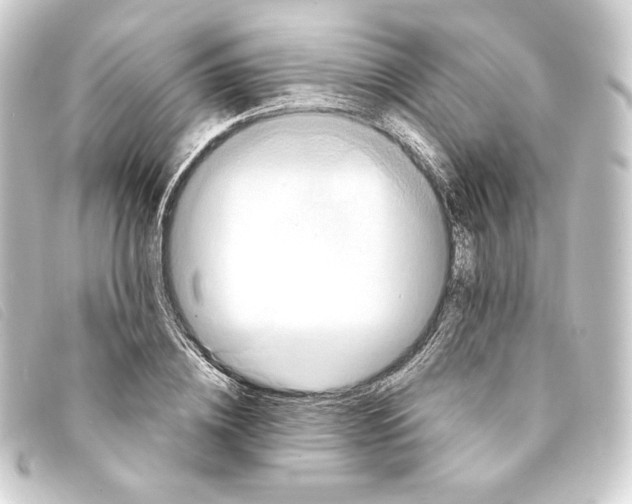 X0000093220836200710241215