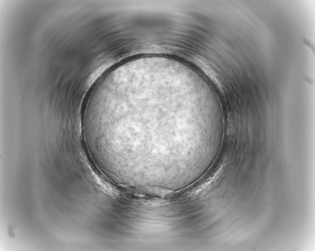 X0000093220837200710241215