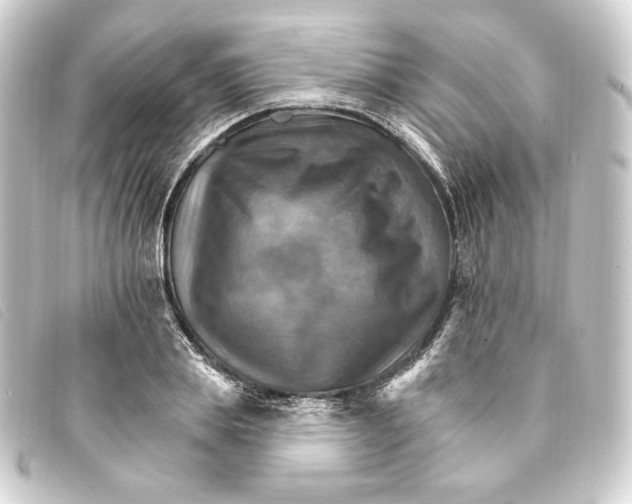 X0000093220839200710241215