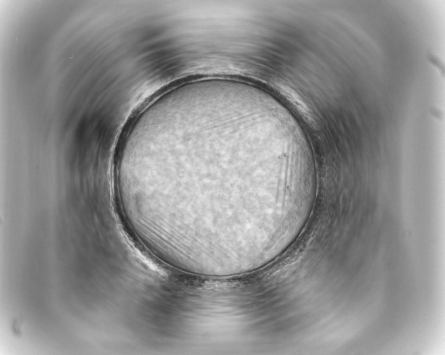 X0000093220840200710241215