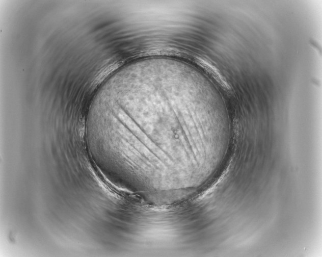 X0000093220841200710241215