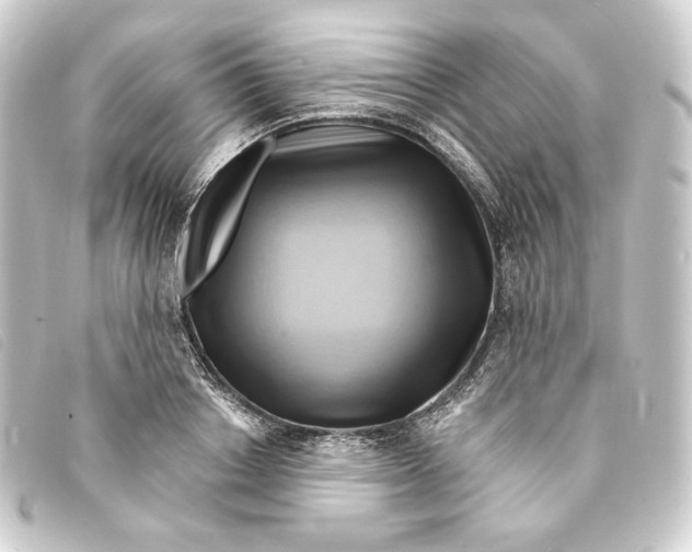 X0000093220842200710241215