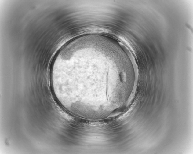 X0000093220843200710241215