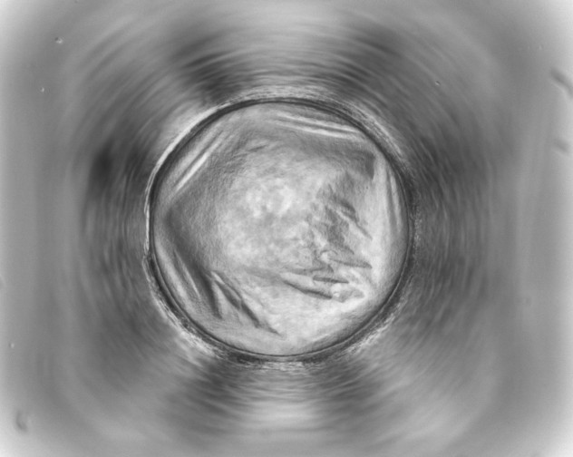 X0000093220844200710241215