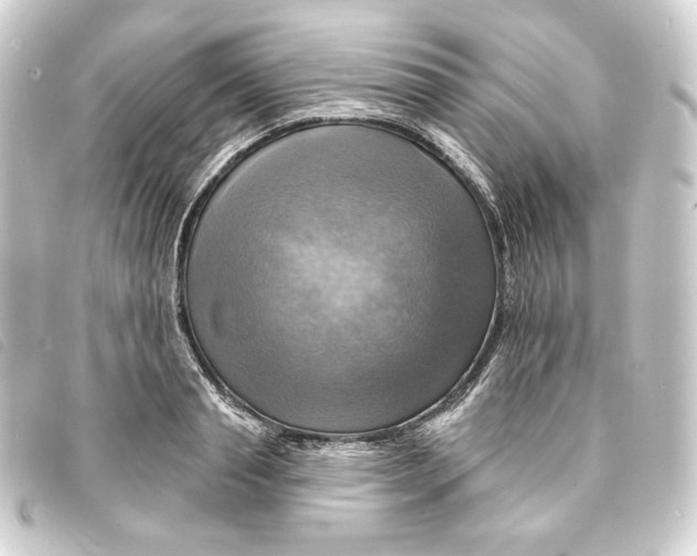 X0000093220845200710241215