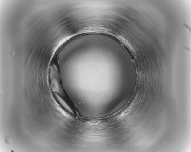 X0000093220846200710241215