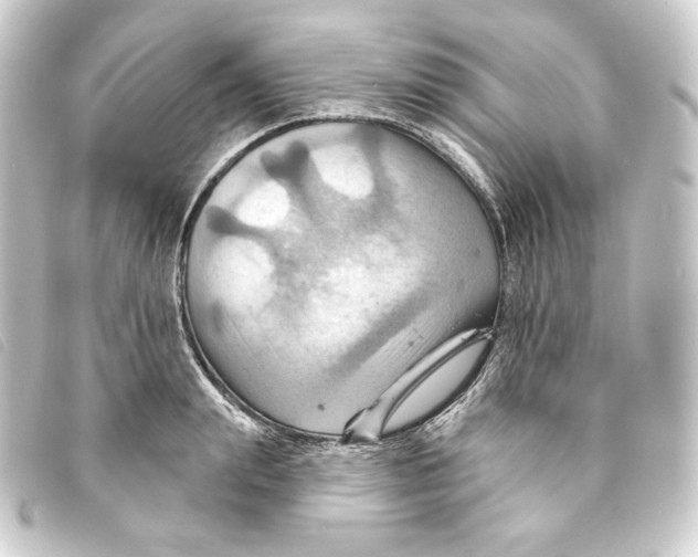 X0000093220847200710241215