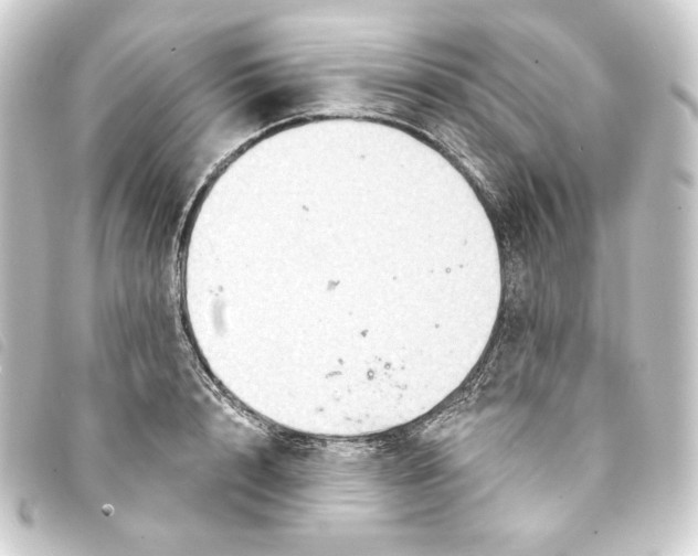 X0000093220848200710241215