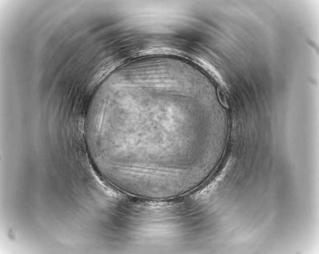 X0000093220849200710241215