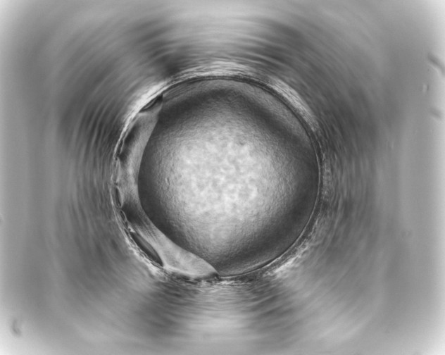 X0000093220850200710241215