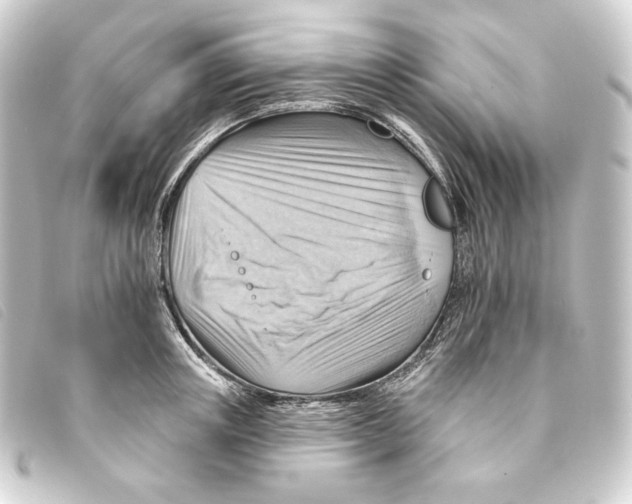 X0000093220851200710241215