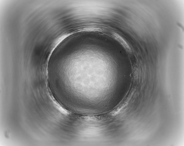 X0000093220852200710241215