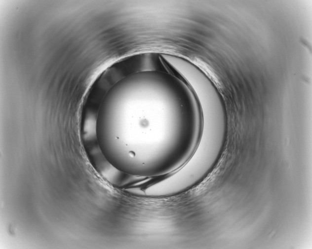 X0000093220854200710241215