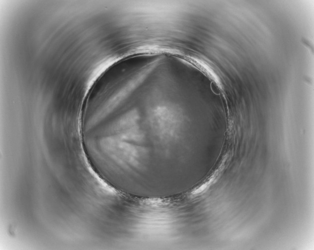 X0000093220855200710241215