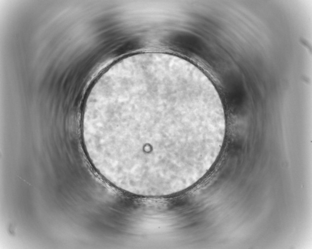 X0000093220856200710241215