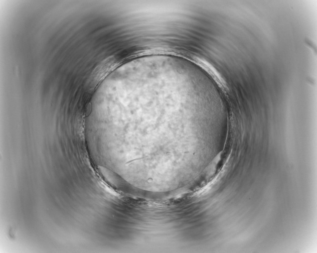 X0000093220857200710241215