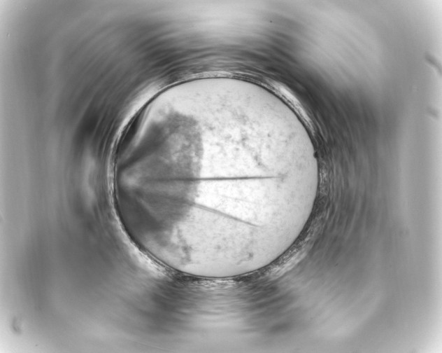 X0000093220859200710241215