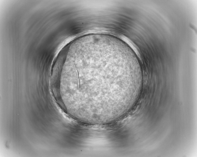 X0000093220861200710241215