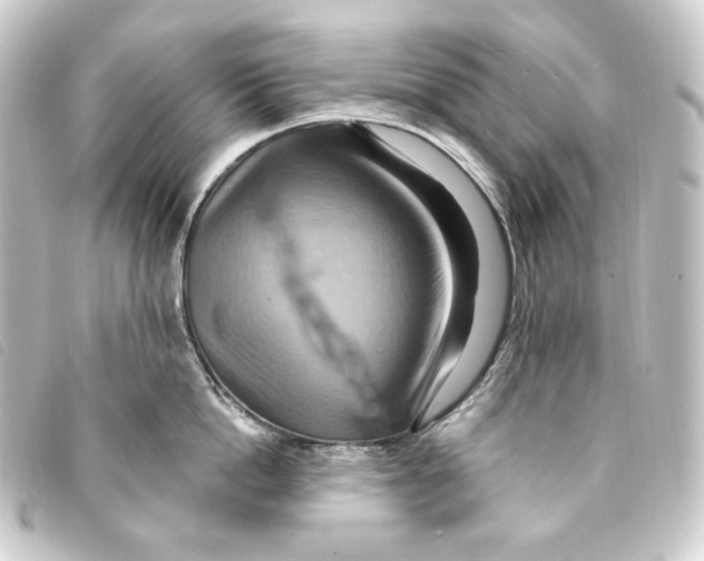 X0000093220862200710241215