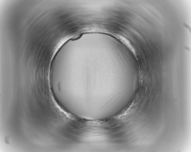 X0000093220863200710241215