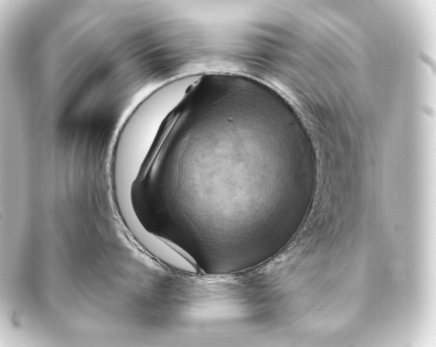 X0000093220864200710241215