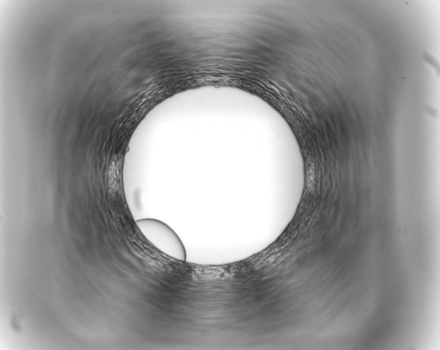 X0000093220866200710241215