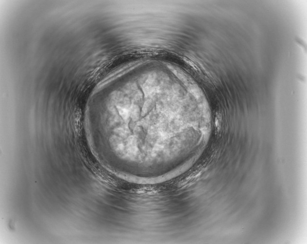 X0000093220867200710241215